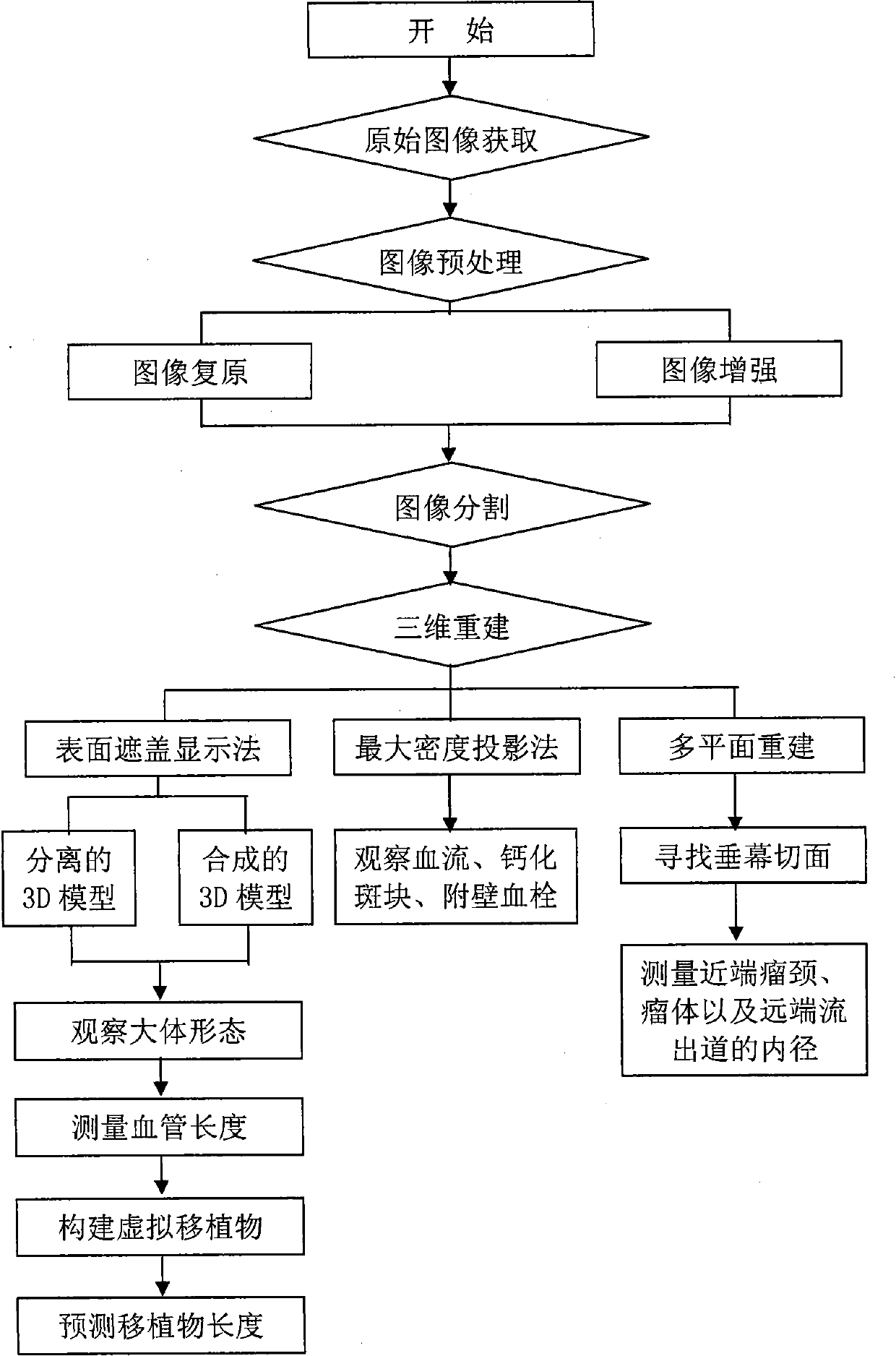 Blood vessel computer aided iconography evaluating system