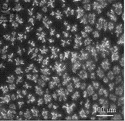 Solution processing-based uniform discrete type fluff sphere-like rubrene crystal growth method