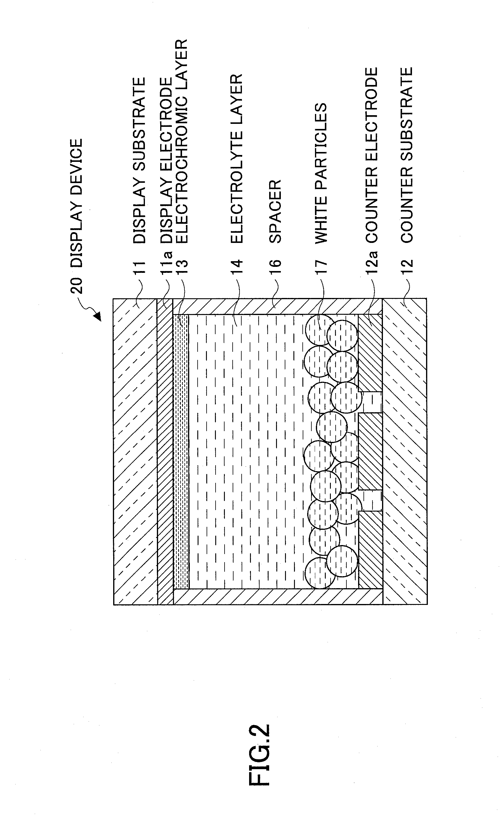 Ion conductor and electrochromic display device