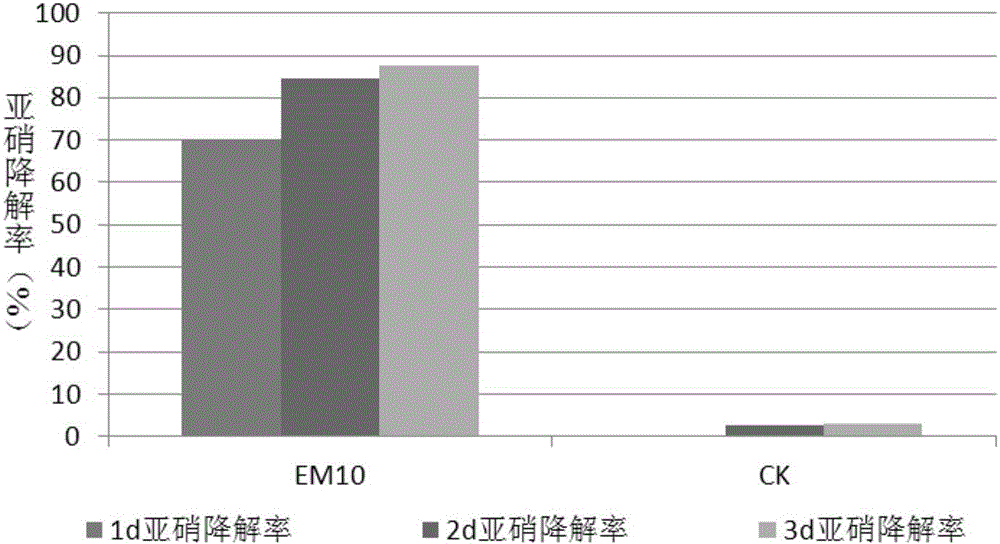 Composite microecological preparation and preparation method thereof