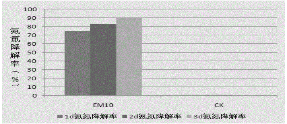 Composite microecological preparation and preparation method thereof