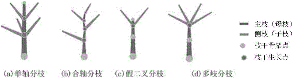 Method for constructing parameterized three-dimensional tree symbol model