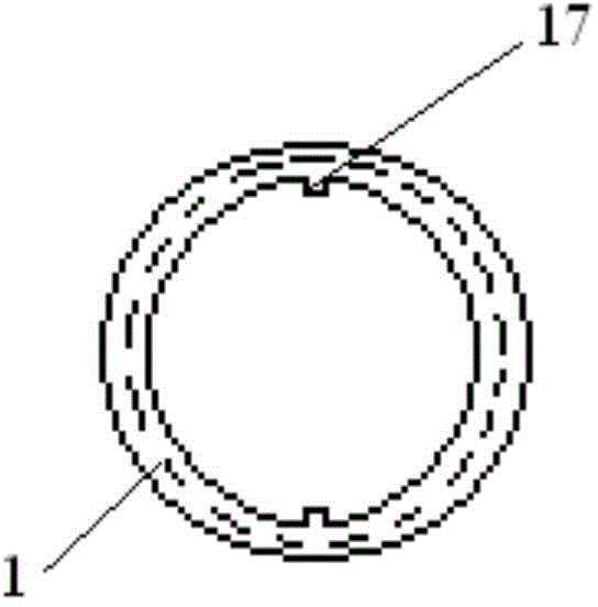 Bone wax coating device