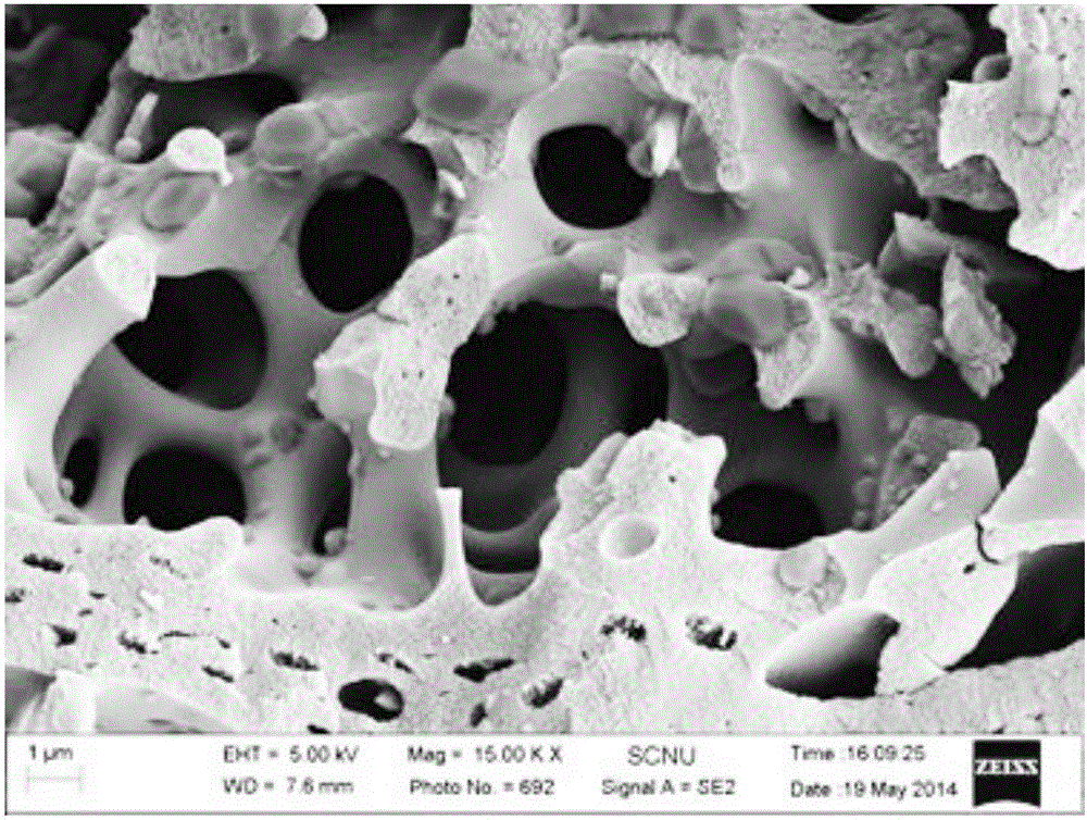 Preparation method and application of poly brominated diphenyl ether polluted water repair material