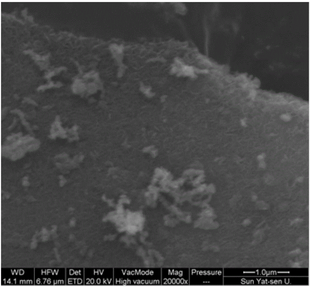 Preparation method and application of poly brominated diphenyl ether polluted water repair material