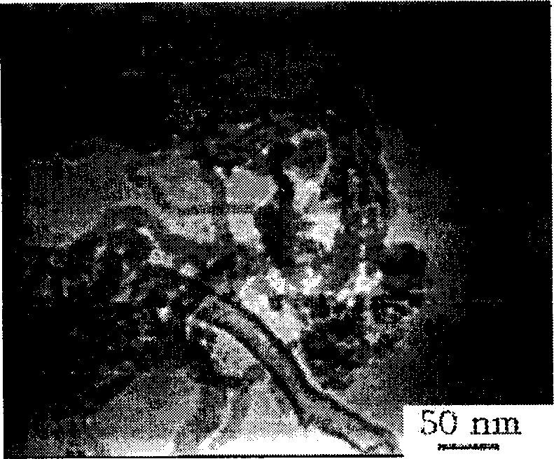 Method for prepn. of electrode catalyst contg. platinum carried on carbon nanometer tube