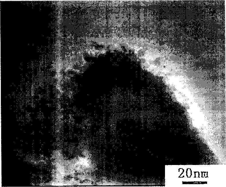 Method for prepn. of electrode catalyst contg. platinum carried on carbon nanometer tube