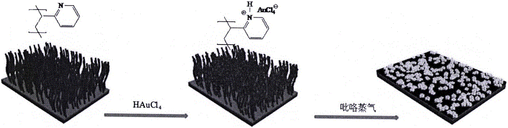 Preparation method of silicon wafer/poly-2-vinylpyridine brush/polypyrrole-gold nanoparticle composite material