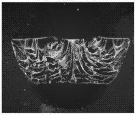 Composite antifoaming agent applicable to production of ordinary sheet glass