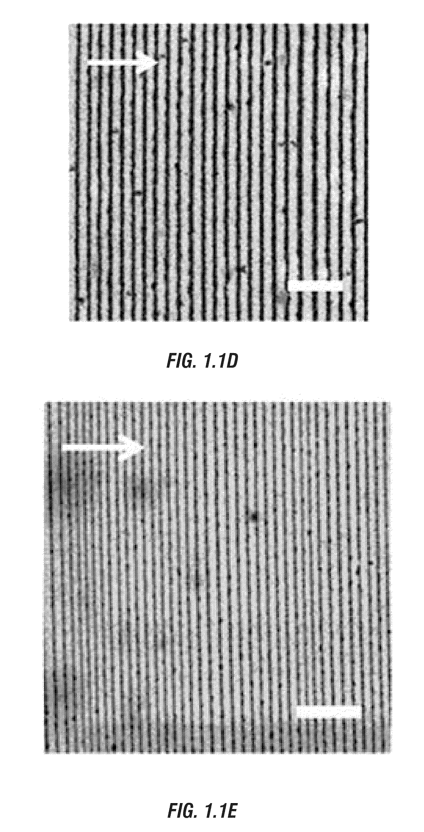 Drying-mediated self-assembly of ordered or hierarchically ordered micro- and sub-micro scale structures and their uses as multifunctional materials