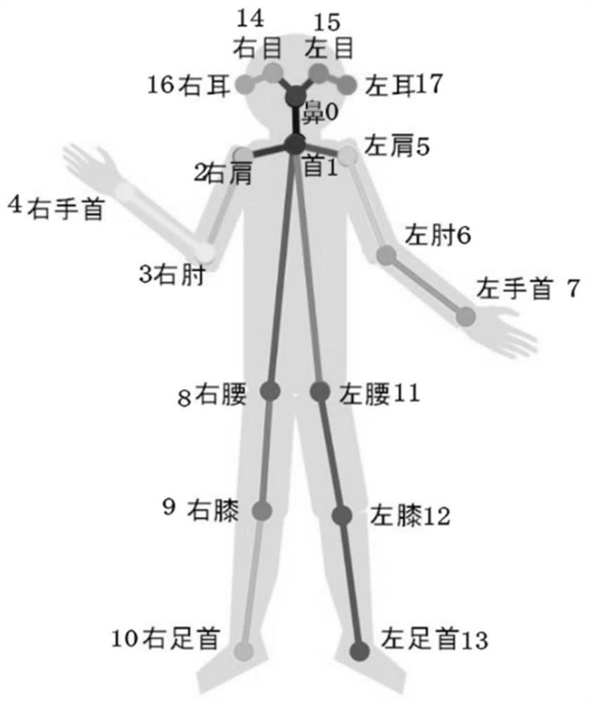 Virtual human body image generation method, system and device and medium