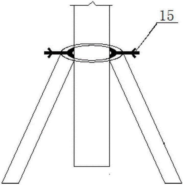 Perpendicularity measuring device and method of telescopic hack lever plumb bob