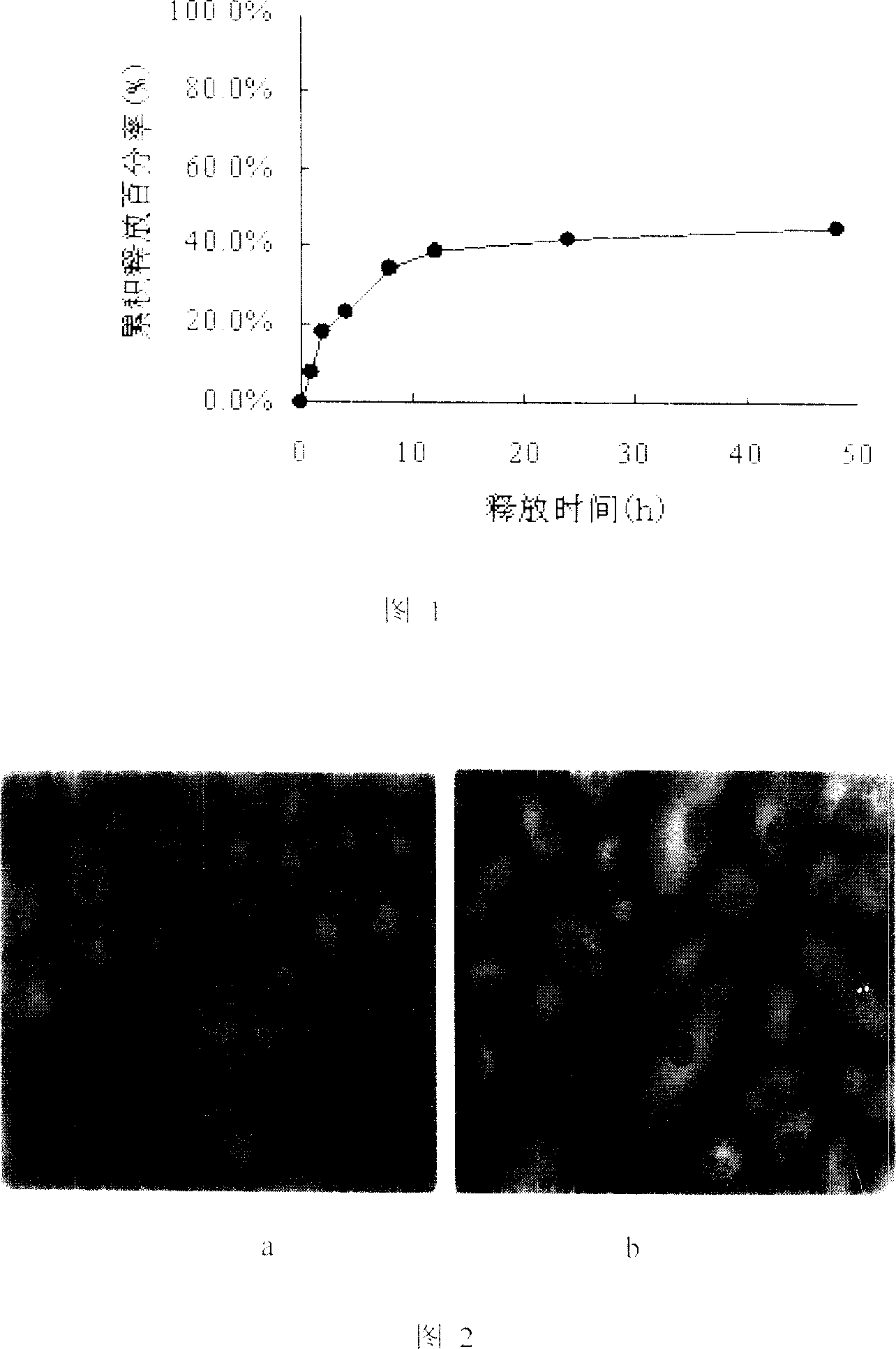 Solid liposome nano granule with antineoplastic activity