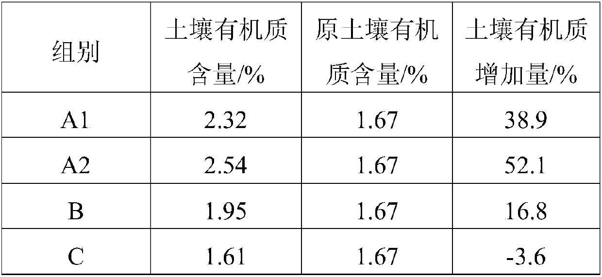 Green bio-organic fertilizer and preparation method thereof