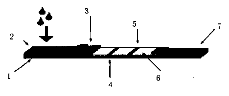 Immune colloidal gold test strip for detecting organic phosphorus pesticide and preparation method thereof