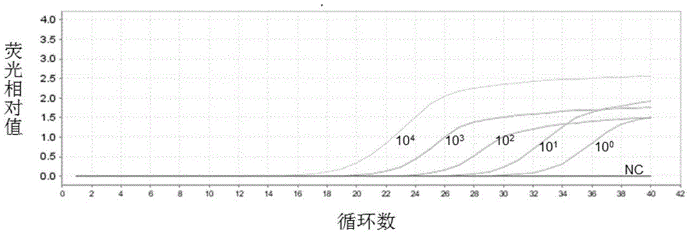 Kit for detecting carbapenem-resistant Enterobacteriaceae (CRE) and detection method