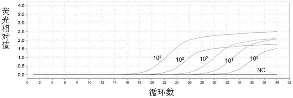 Kit for detecting carbapenem-resistant Enterobacteriaceae (CRE) and detection method