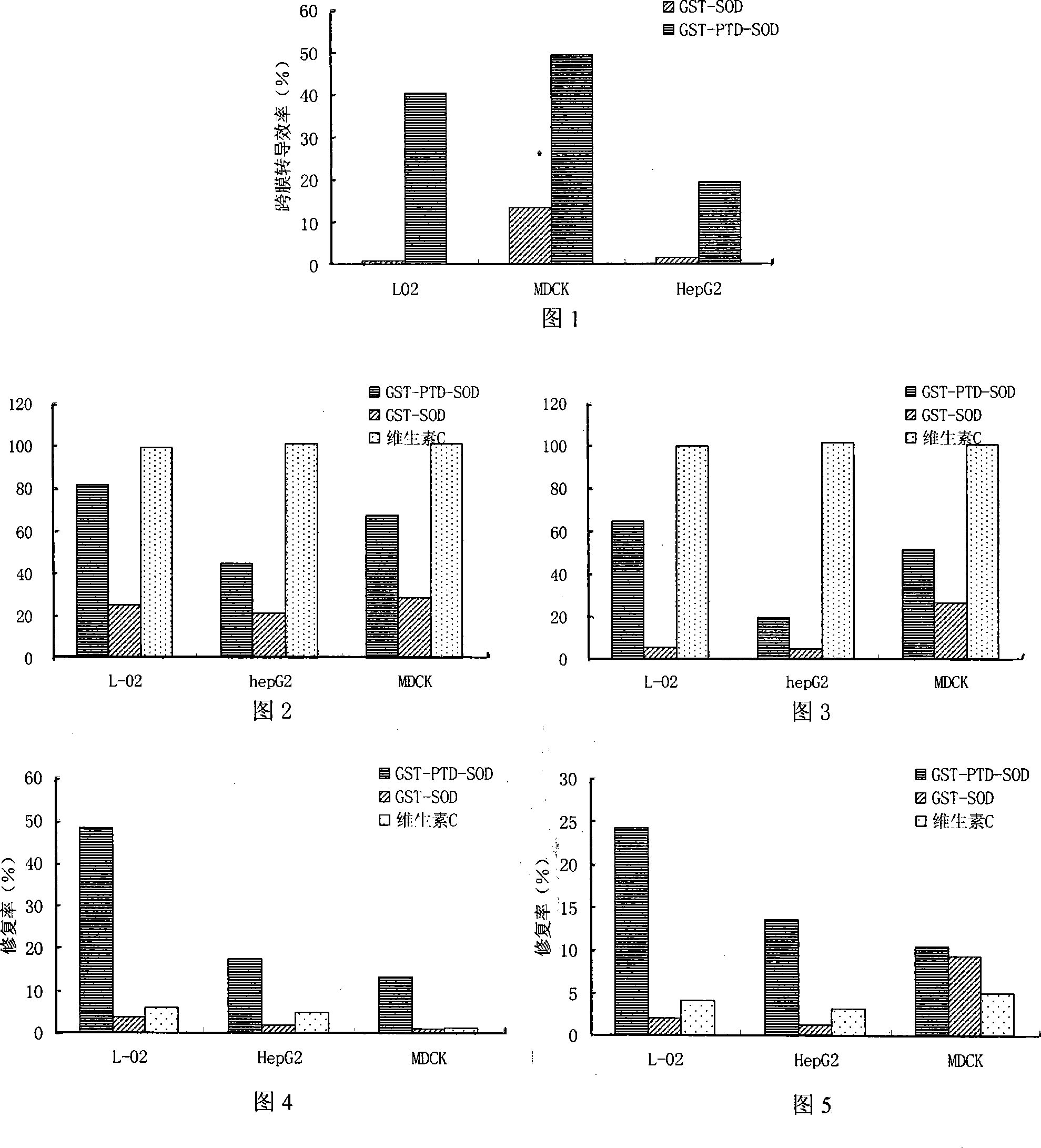 Application of fusion protein GST-PTD-SOD in radioresistance