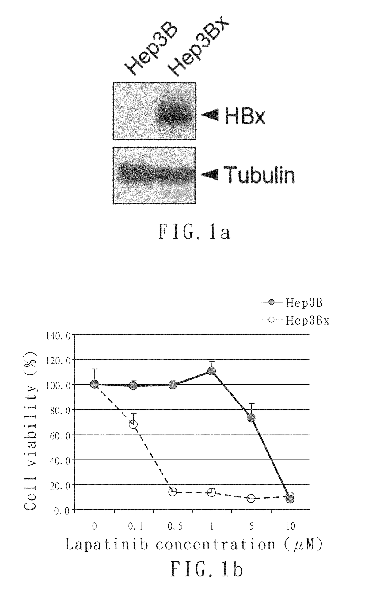 Method for treating liver cancer