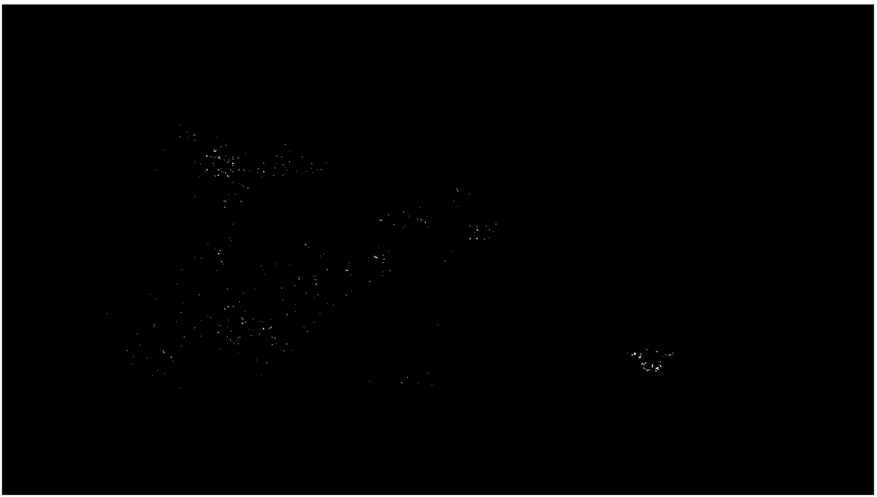 Full-scale distributed whole brain simulation system based on brain-like pulse neural networks