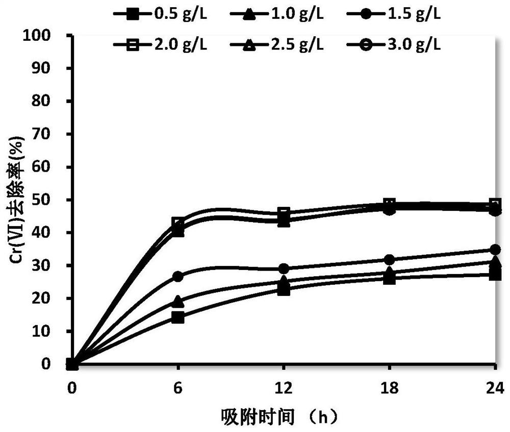 Application of lysinibacillus fusiformis in removing hexavalent chromium in eutrophic wastewater