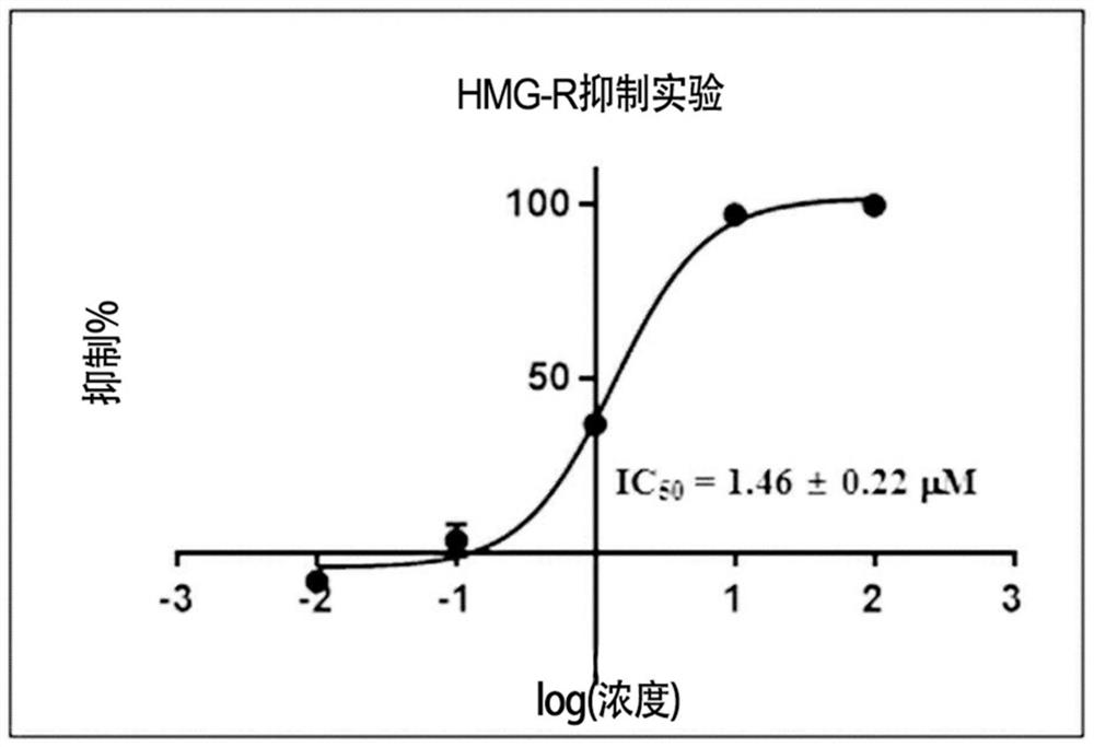 Food compositions and pharmaceutical compositions containing Filipendula glaberrima extract