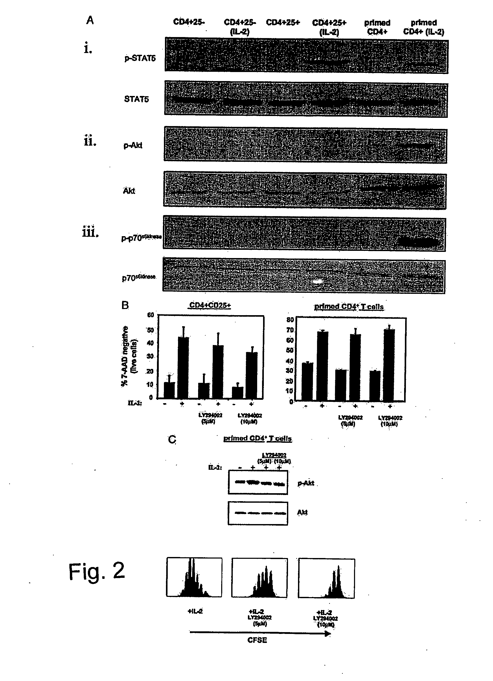 Manipulation of PTEN in T cells as a strategy to modulate immune responses