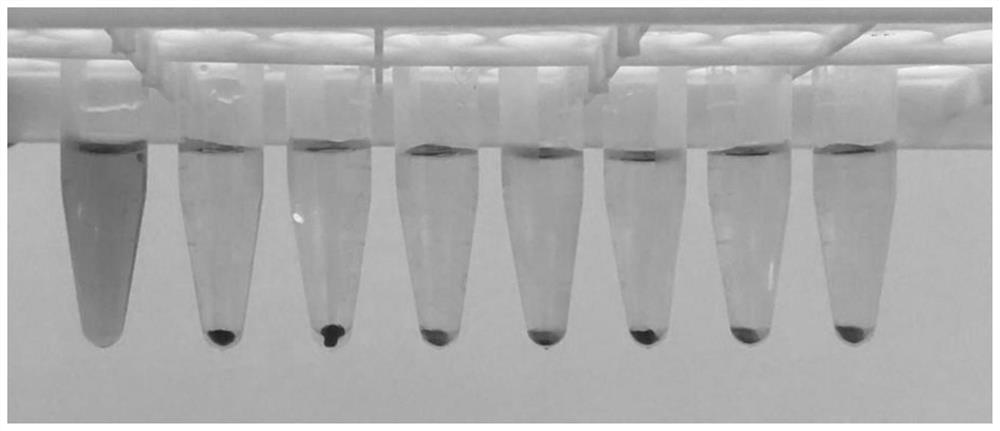 Difunctional heteropolyacid discharge promoting agent