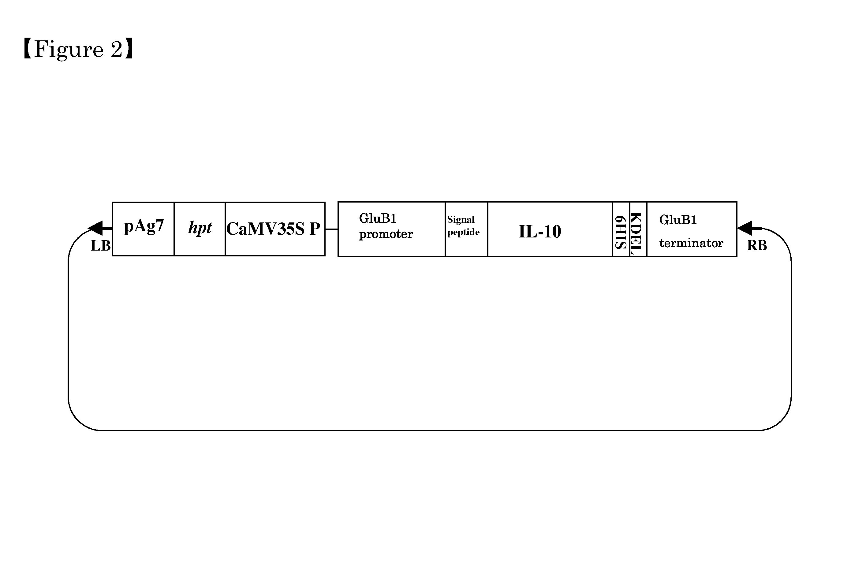 Method for extraction and purification of recombinant proteins from transgenic plants