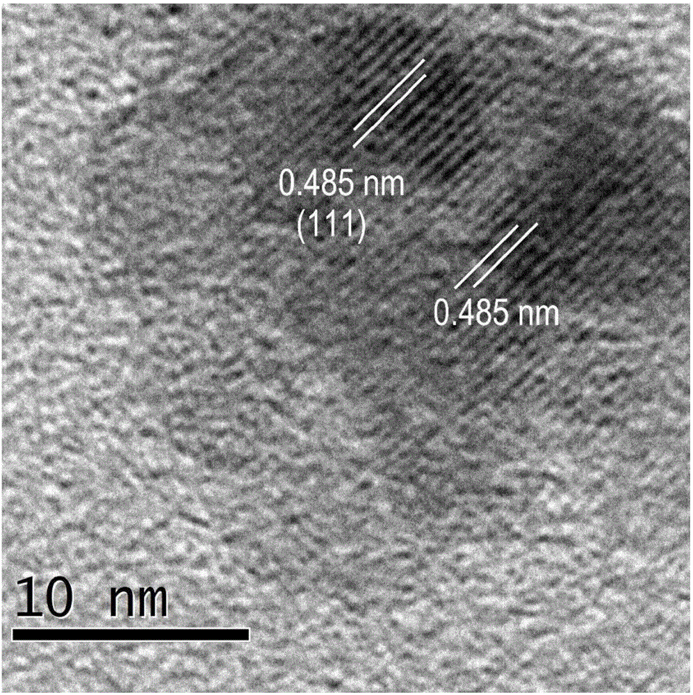 Water soluble biocompatible fluorescent magnetic nanoclusters and preparation method thereof