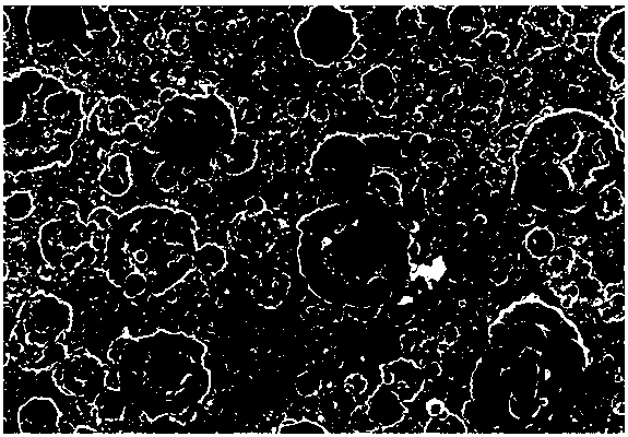 Method for preparing aluminum or aluminum-tin alloy plated layer on surface of sintered neodymium-iron-boron permanent magnet