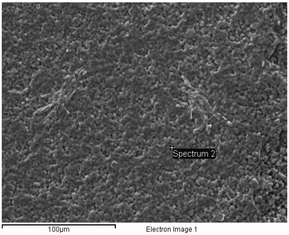 Pretreatment method of aluminum nitride substrate for copper cladding