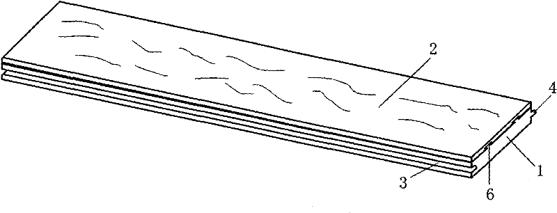 Wood-plastic base composite floor with solid wood panel and manufacturing method thereof