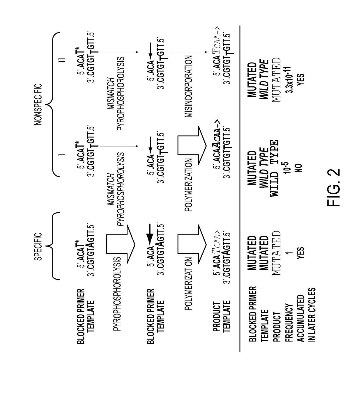 Ultra-high sensitive monitoring of early transplantation failure