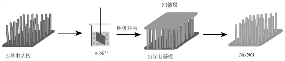 Preparation method of nickel nanowire array electrode and application of nickel nanowire array electrode as electrochemical oxygen evolution active material