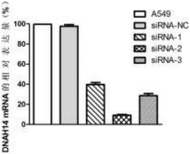 Application of DNAH14 gene in tumor diagnosis and treatment