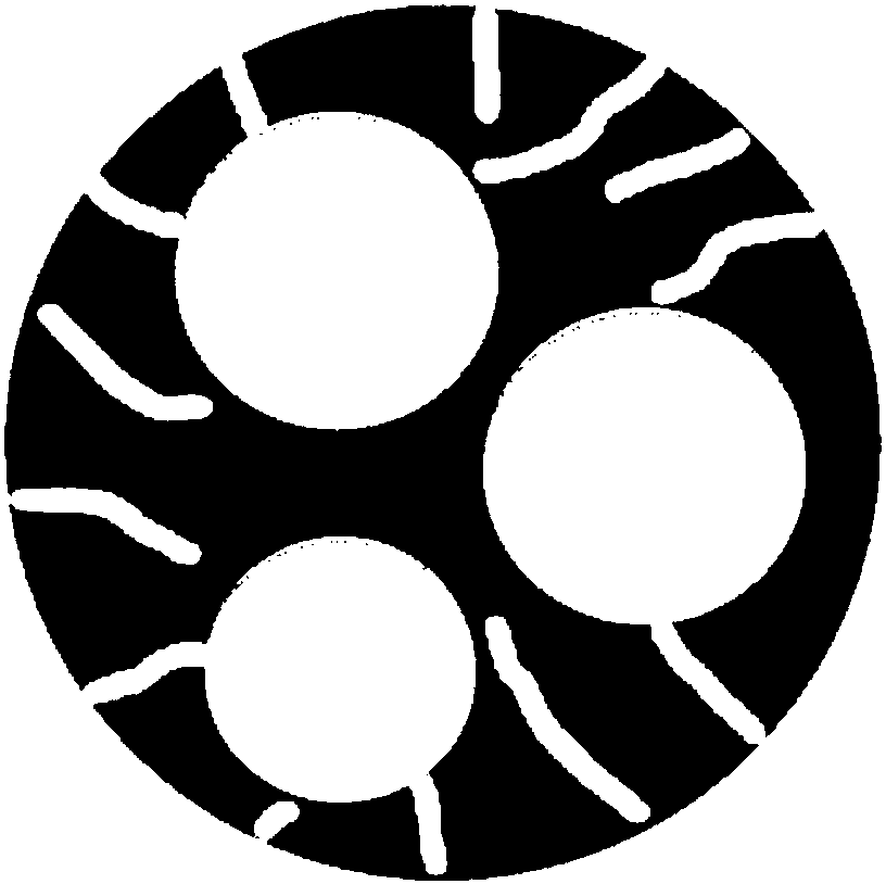 Hollow porous microspheres coated with titanium dioxide nanoparticles and preparation method thereof