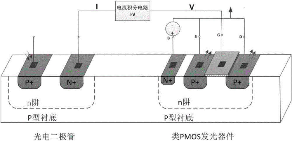 Circuit simulating biological neural network based on similar MOS luminescent devices