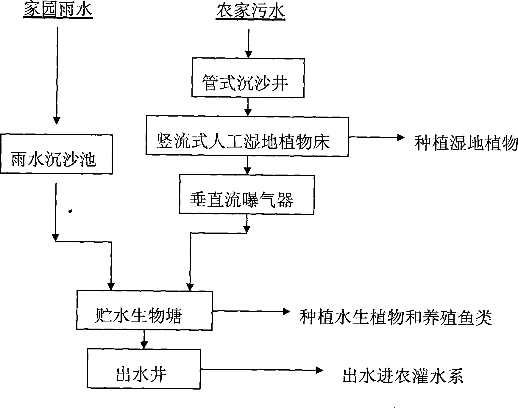 Constructed wetland processing and comprehensive utilization technique for farm household sewage water and rainwater