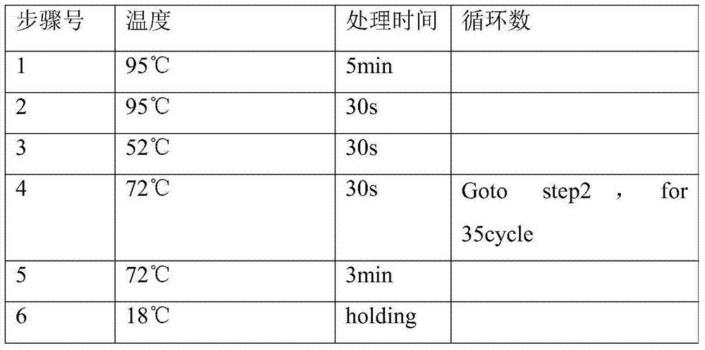 Kit and method for detecting CDA (cytidine deaminase) genetic polymorphism by use of pyrosequencing technique