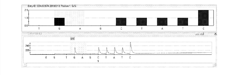 Kit and method for detecting CDA (cytidine deaminase) genetic polymorphism by use of pyrosequencing technique