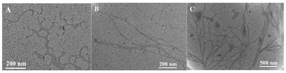 Photoelectric chemical biosensor as well as preparation method and application of photoelectric chemical biosensor