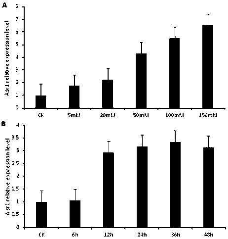 C2H2-type transcription factor gene and application thereof