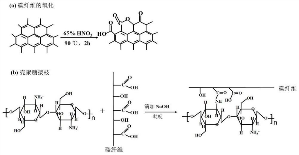 Chitosan-transition metal ion composite modified cathode material as well as preparation method and application thereof