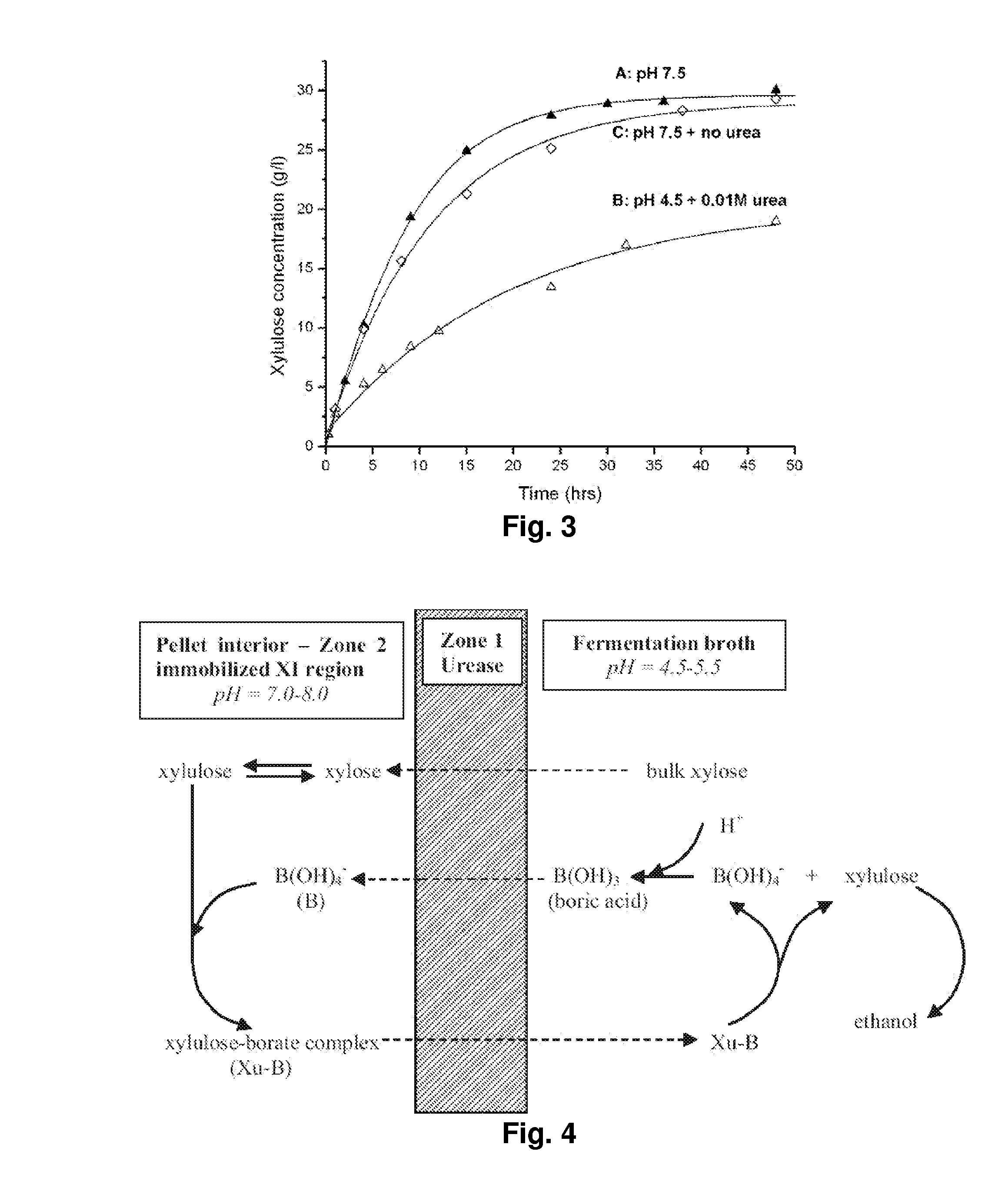 Methods for Fermentation of Xylose and Hexose Sugars