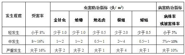 Ligularia virgaurea powder composite granule as well as preparation method and application thereof