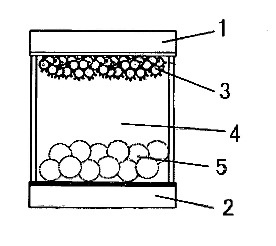 Display device and display apparatus