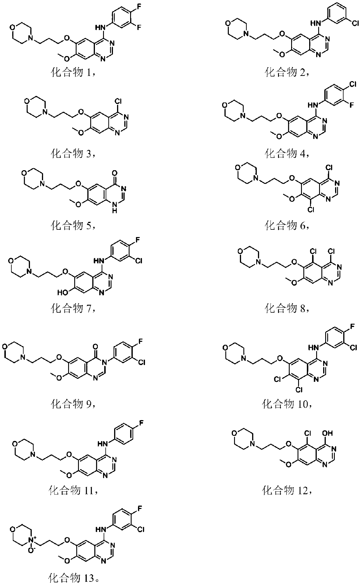 Composition containing morpholinyl propoxy quinazoline derivatives