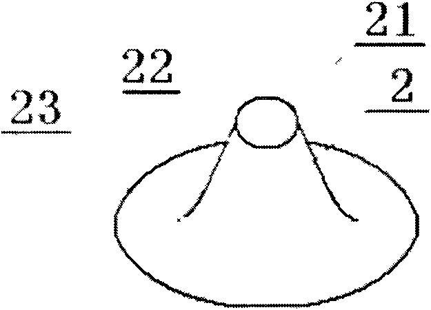 Self-protuberant aortic intracavity implant