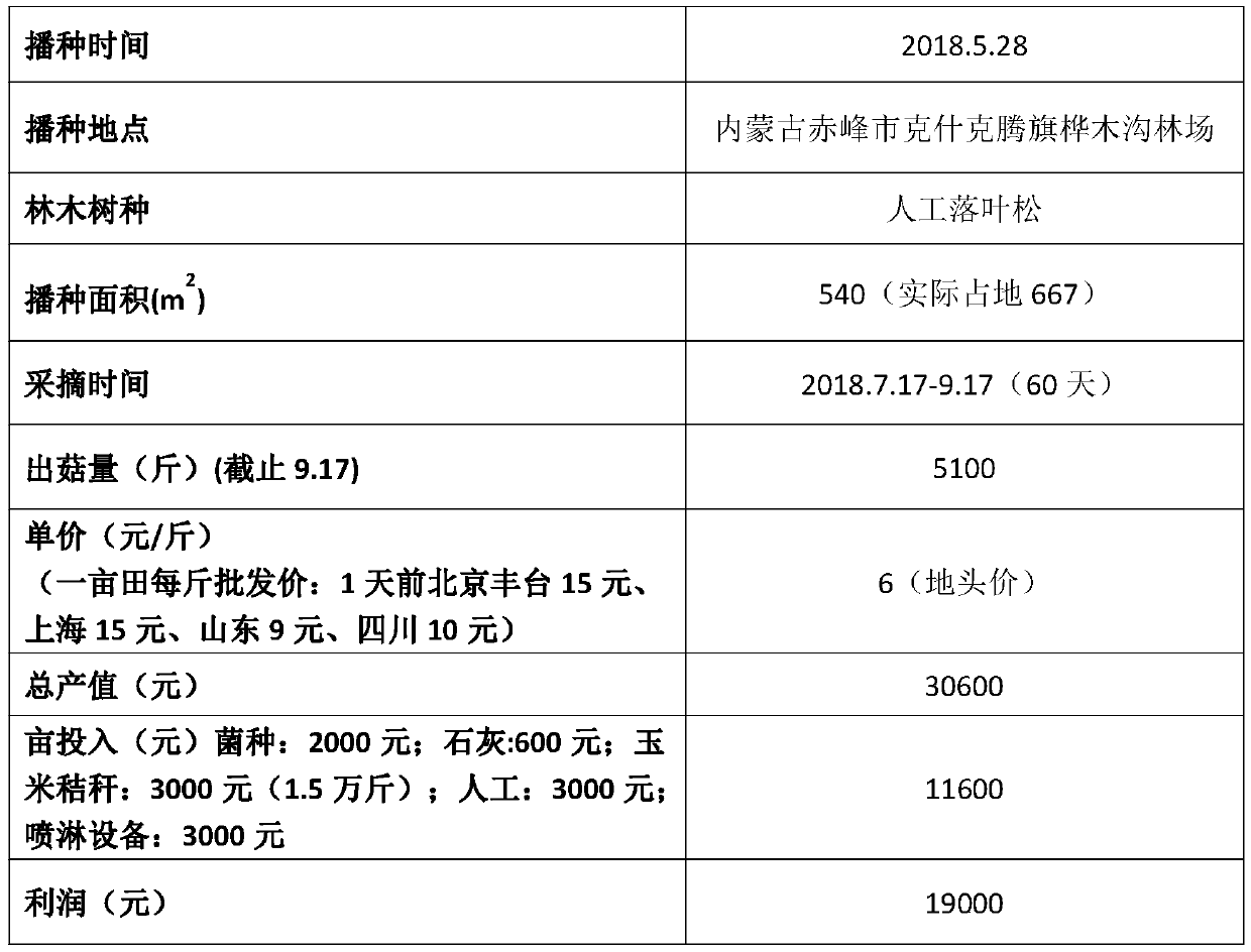 Method for cultivating stropharia rugoso-annulata under artificial larix gmelini forest in northern area and application of method